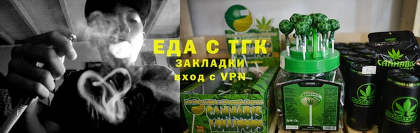 тгк Алзамай
